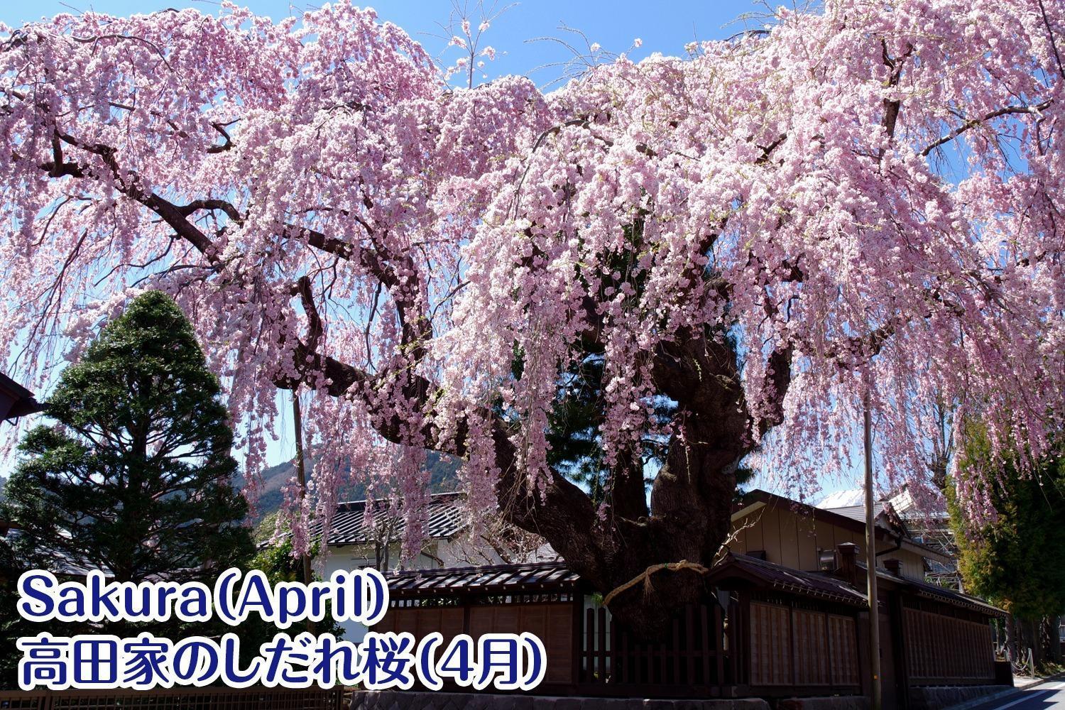 Nikko Stay House Arai - Vacation Stay 14994V ภายนอก รูปภาพ